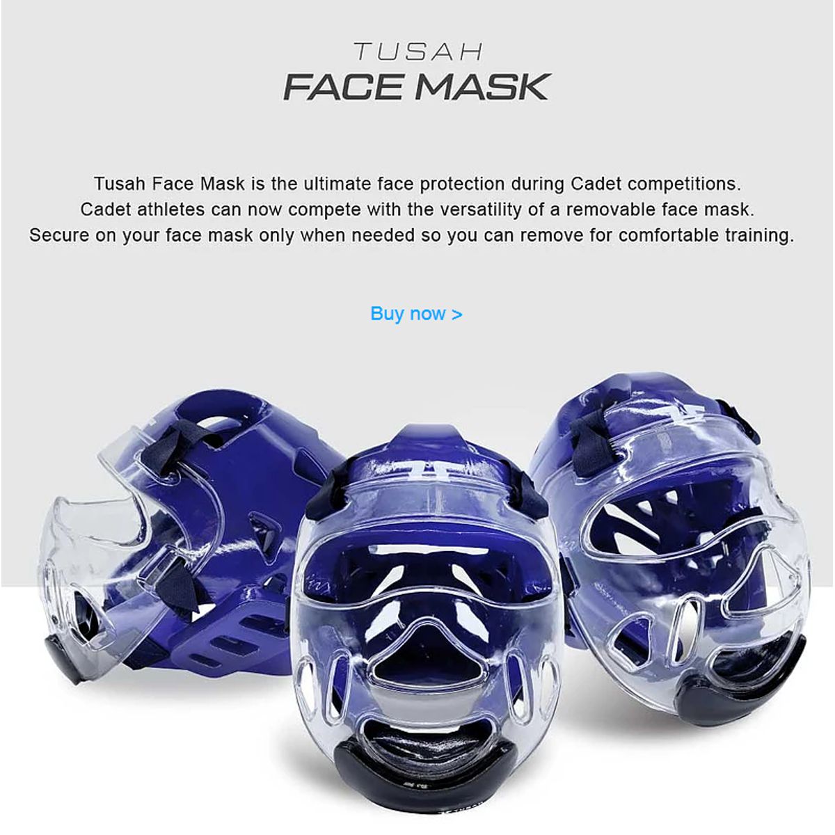 FACE MASK