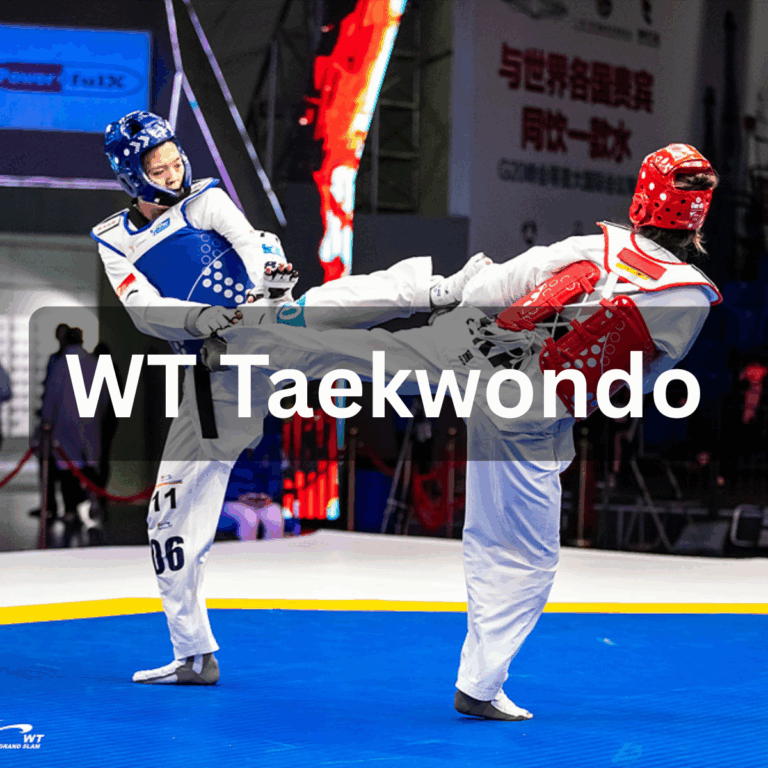 WT Taekwondo Protective Equipment